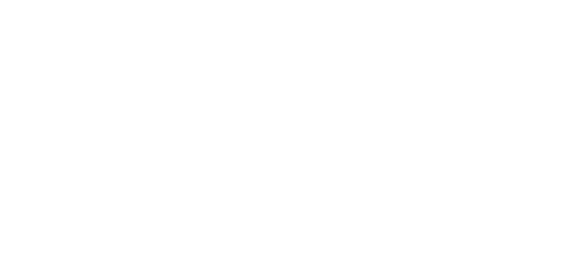 ̹